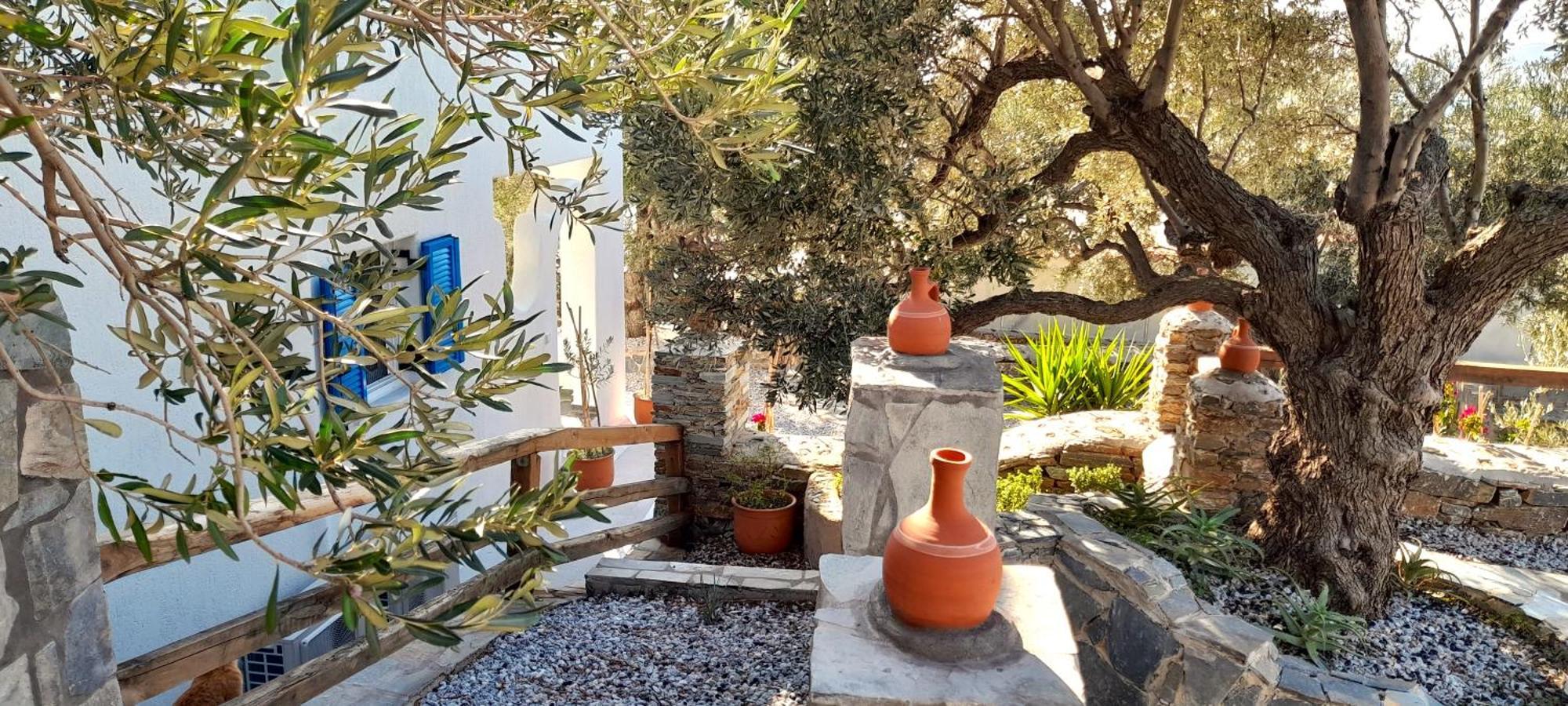 Aspra Chomata Karystos (Evia)